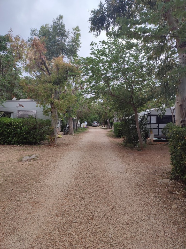 IMG_20230426_091120.jpg