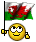 :wales: